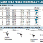 La semana de la pesca en Castilla y León-El Mundo de Castilla y León.
