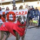 Un galgo de uno de los manifestantes delante de la pancarta de la concentración.-ICAL