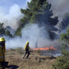 Un grupo de bomberos intenta sofocar el fuego declarado en Barcebalejo(Soria)-Ical