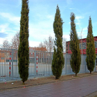 El colegio Ana de Austria de Cigales, en una imagen de archivo-E. M.