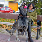 Alicia, con Tata, la perra mestiza que adoptó cuando ésta se encontraba en el geriátrico canino de la base aérea de Villanubla.-RAQUEL P. VIECO