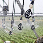 El aplicativo permite ahorrar hasta un 35% de agua y de energía, además de incrementar las producciones.-ICAL