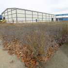 Nave en la calle Nitrógeno, en el polígono de San Cristóbal, en la que se producirán ‘snacks’ de maíz.-J.M.LOSTAU