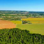 ‘Bocage’ Camino de los Aragoneses desde el pico de la Cuchilla.-EM