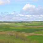 Campos de cereal en las inmediaciones de Torrelobatón (Valladolid).-M.T.