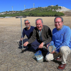 Los profesores de la Escuela Técnica Superior de Ingenierías Agrarias de Palencia, Fermín Garrido, Zacarías Clérigo y José Luis Marcos, muestran semillas de trigo en una finca cercana a la capital.-BRÁGIMO