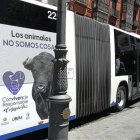 Cartel de la asociación animalista Libera  en un autobús con la imagen de un toro.-E.M.