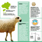 -EL MUNDO DE CASTILLA Y LEÓN