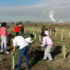 Un grupo de alumnos del CEIP Isabel La Católica planta árboles en el Jardín de los Sueños, situado en el Soto de la Medinilla.-EL MUNDO