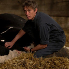 La enfermedad que sufren las vacas en el filme está inspirada en una dolencia real.-