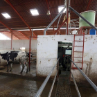 Zona de ordeño de una explotación de ganado vacuno en la localidad palentina de Melgar de Yuso.-ICAL