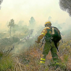 Un bombero intenta apagar un incendio en Ávila.-ICAL