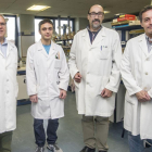 Gabriel García, Víctor García, Tomás Torroba y José Vicente Cuevas en el laboratorio donde trabajan-ISRAEL L. MURILLO