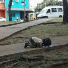 Foto tomada por una periodista de la revista Misiones Online  de la ciudad argentina de Posadas.-MISIONES ONLINE