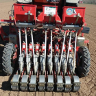La cebolla horcal se cultiva en el entorno de Palenzuela, en localidades pertenecientes a las provincias de Burgos y Palencia.-ECB