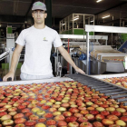 Rafael del Valle, responsable de almacén de Nufri, en la zona donde se clasifican las manzanas con visión artificial.-LUIS ÁNGEL TEJEDOR