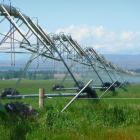Sistema de riego por aspersión en una explotación agrícola.-ECB