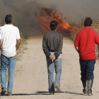 Tres agricultores pasean por una parcela en la que se realiza una quema controlada para combatir una plaga de topillos.-ICAL