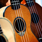 flamenco
