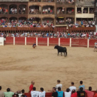 Uno de los toros es citado por los presentes en la plaza de toros de Peñafiel.-TURISMO PEÑAFIEL