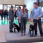 Alicia García y Silvia Clemente participan en una exhibición de perros guía en una pista de adiestramiento.-ICAL