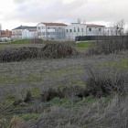 Terrenos expropiados por el Ayuntamiento, con el Zambrana de fondo-J. M. Lostau