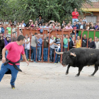 Un hombre esquiva al bravo durante la celebración del toro de la vendimia del pasado año en Rueda.-Santiago