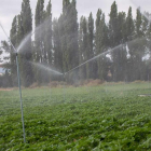 Finca de regadío donde el Life Smartfertirrigation está tratando con purín líquido por aspersión.-HDS