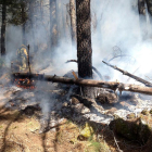 Incendio forestal registrado hace unos días en El Hornillo (Ávila).-ATBRIF