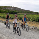 Tres aficionadas ciclistas en una de las rutas de Ribera de Duero.-E. M.