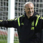 Vicente del Bosque, durante un entrenamiento de la selección española.-Foto: EFE / ALBERTO MARTÍN