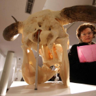 Exposición 'VacceArte, el bestiario Vacceo'-Ical
