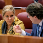 Rosa Valdeón dialoga con Alfonso Fernández Mañueco, hoy en el Pleno de las Cortes-ICAL