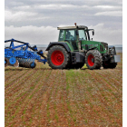 Agricultor ecológico en la provincia de Soria.-LUIS ÁNGEL TEJEDOR