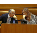 Ramiro Ruiz Medrano, junto a Silvia Clemente en el pleno de las Cortes.-ICAL
