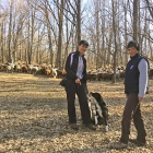 Charo García y María Ballesteros con el rebaño de la primera en el monte en la localidad zamorana de Villarino de Sanabria.-E.M.