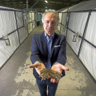 El director general de Gamba Natural, Bjorn Aspheim, muestra seis langostinos ‘recién pescados’.-MIGUEL ÁNGEL SANTOS
