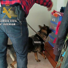 Un momento de la intervención de la Guardia Civil.-FOTO CEDIDA POR LA GUARDIA CIVIL