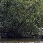 V certamen de pesca fluvial de la trucha en Santa Marina del Rey .-ICAL