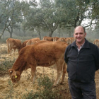 Gonzalo Jiménez con sus animales de alto valor genético en la explotación de Villalba de los Alcores (Valladolid).-E.M.