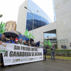 Manifestación de ganaderos de ovino de leche, el pasado 30 de octubre en Valladolid.-ICAL