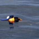 El cuerpo sin vida de un migrante ahogado, con chaleco salvavidas, flota en aguas exteriores de Libia, en una foto divulgada por la oenegé Proactiva Open Arms, el 24 de marzo.-AP