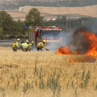 Incendio agrícola en unas parcelas entre las provincias de Palencia y Valladolid.