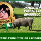 La página web de la tienda Pig Demont, con el logotipo del cerdo con gafas y cabello similar al del expresident.-EL PERIÓDICO