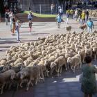 Un rebaño trashumante atraviesa el centro de Soria y atrae las fotografías de quienes disfrutan del sonido de los esquilos y una estampa que evoca otros tiempos.  -HDS