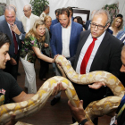 Pilar del Olmo, Antonio Gato, Óscar Puente y José Antonio Martínez Bermejo, con un ejemplar de boa en la Feria de Muestras-J. M. LOSTAU