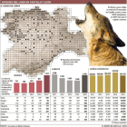 Ataques del lobo en Castilla y León.-EL MUNDO DE CASTILLA Y LEÓN