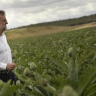 El líder del PP, Mariano Rajoy, en una visita este miércoles a una plantación de alcachofas.-AP / Alvaro Barrientos