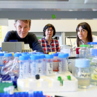 Investigadores participantes en el proyecto en las instalaciones del Instituto de Biología y Genética Molecular de Valladolid.-J. M. LOSTAU