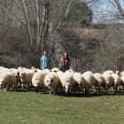 Sandra de la Hera y Enrique Pérez, veterinarios de Anche, con un rebaño de ovejas churras en la Finca Villalta de Palencia.-BRÁGIMO